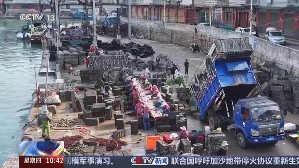 连江：海水升温春潮涌 鲍鱼投苗正当时