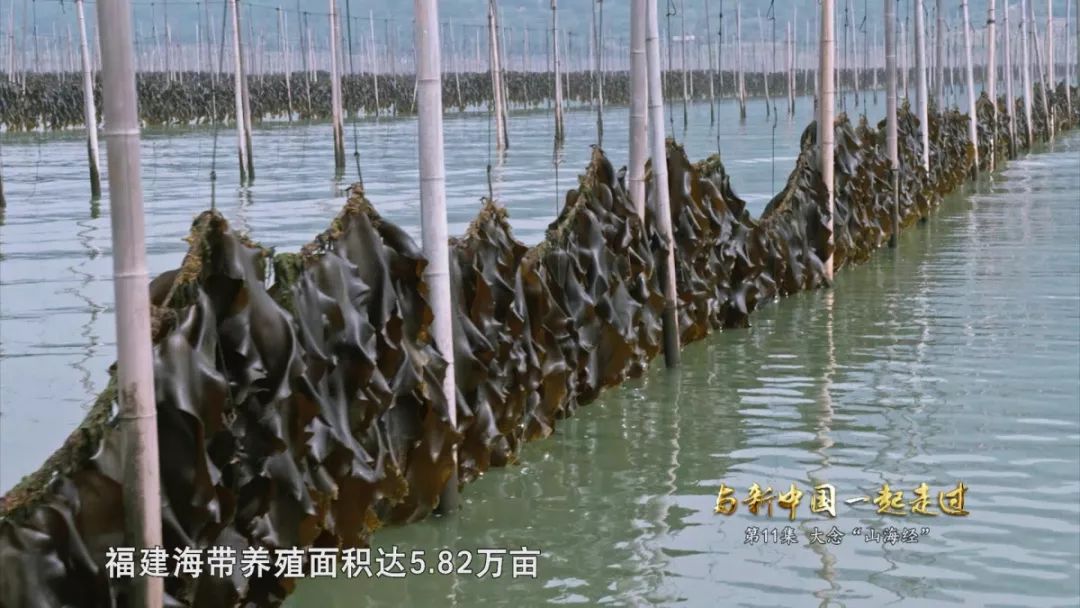 ef8511e51a3d49cbade91b978045ebf0.jpeg