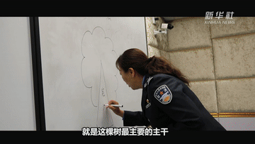 4.gif