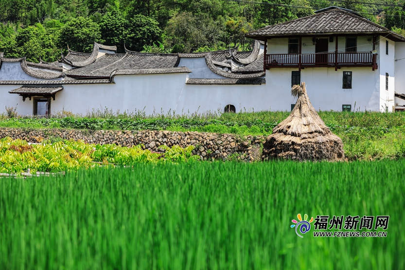 白房青瓦马鞍墙　一方宁静后垅村