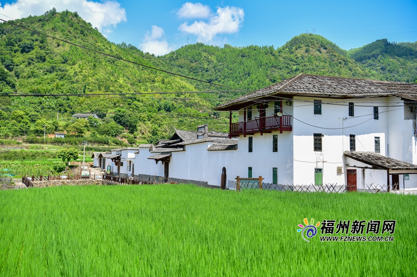 白房青瓦马鞍墙　一方宁静后垅村