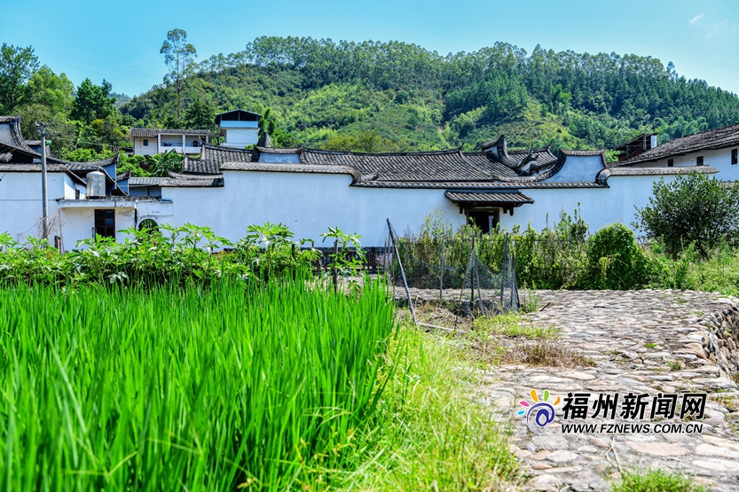 白房青瓦马鞍墙　一方宁静后垅村
