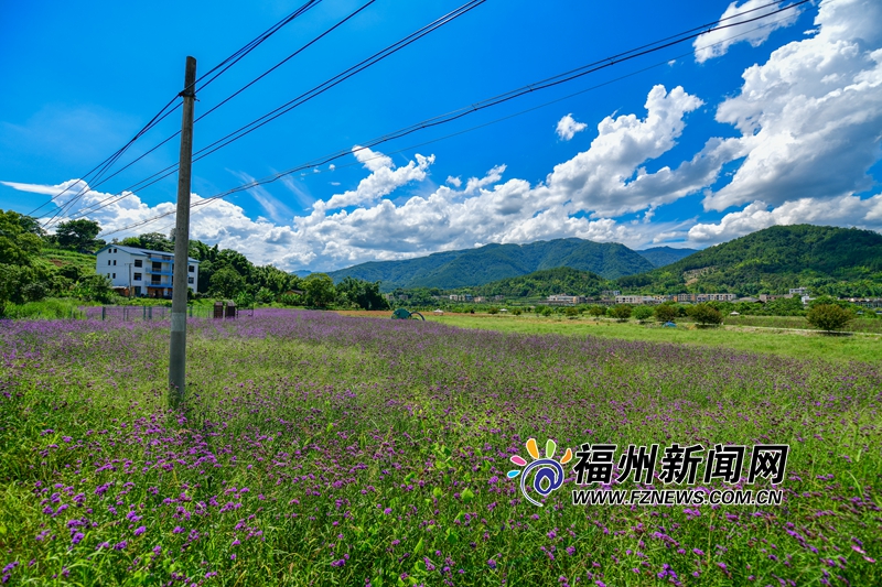 孔元村云海
