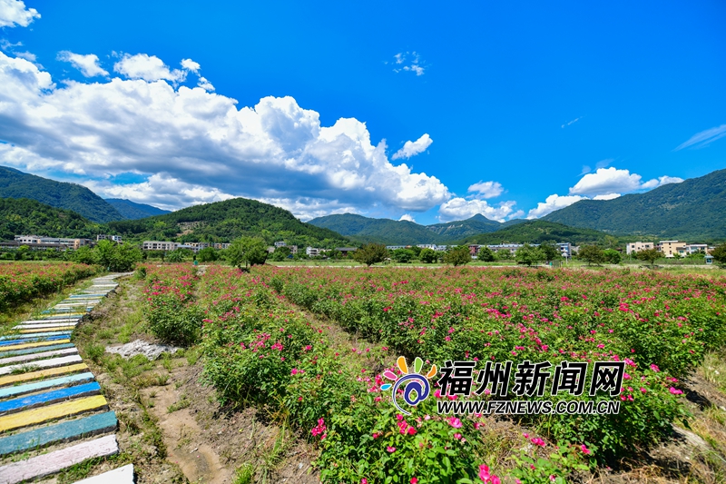 孔元村云海