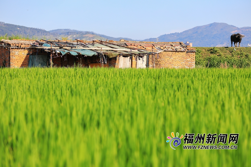 寻找塔礁洲公园里的城市湿地