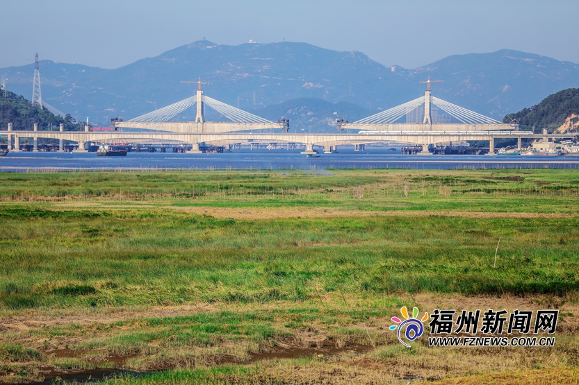 寻找塔礁洲公园里的城市湿地